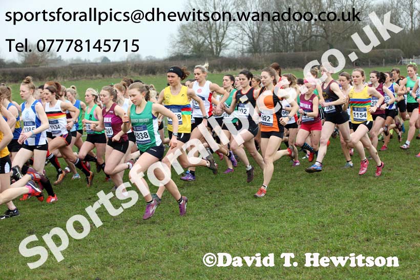 Senior womens Inter Counties Cross Country, Prestwold Hall, Loughborough. Photo: David T. Hewitson/Sports for All Pics
